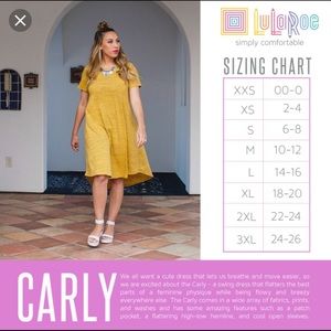 Lularoe xs Carly dress